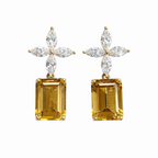Dual Drop Earrings
